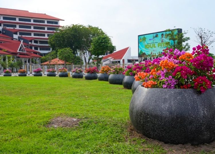 Pot bougenville. (Foto: Illustrasi).