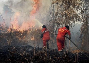Dua orang petugas bekerja keras memadamkan kebakaran hutan dan lahan. (Foto: Ist./ugm.ac.id).