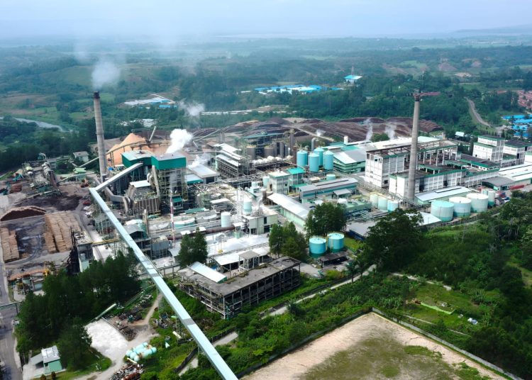 PT Toba Pulp Lestari Tbk berlokasi di kawasan Danau Toba Sumatra Utara, sebuah perusahaan industri strategis yang bergerak di sektor kehutanan dan pengolahan hasil hutan. (Foto: Ist./ blog.amikom.ac.id).