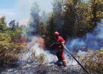 Karhutla di Natuna pada tahun 2026 (Dok: Pemkab Natuna)