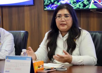 Anggota/Deputi Bidang Pelayanan Umum BP Batam, Ariastuty Sirait. (Foto: Humas BP).