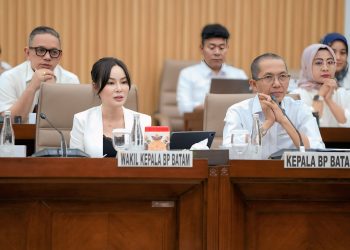 Rapat bersama Komisi VI DPR, BP Batam paparkan capaian peningkatan keuangan BP Batam semakin membaik. (Foto: Humas BP).