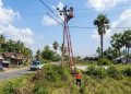 Petugas PLN saat memperbaiki kerusakkan jaringan listrik pasca gempa bumi di Flores NTT. (Foto: Ist./dok.PLN).