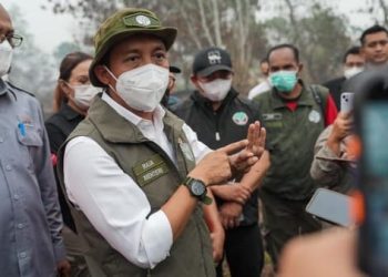 Menhut Raja Juli Antoni saat meninjau lokasi karhutla di Desa Kuala Dua, Kecamatan Sungai Raya, Kabupaten Kubu Raya, Kalbar, Kamis, 3 September 2026. (Foto: Ist./Dok Kemenhut).