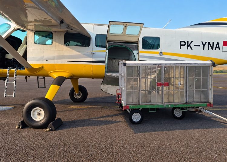 Pesawat Cessna yang dipakai untuk proses Operasi Modifikasi Cuaca (OMC) di Kota Batam, (Foto: Humas BP).